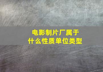 电影制片厂属于什么性质单位类型