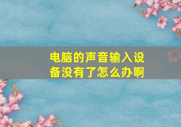 电脑的声音输入设备没有了怎么办啊