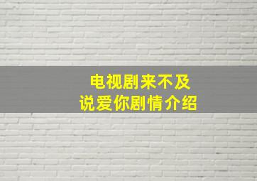 电视剧来不及说爱你剧情介绍