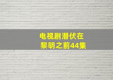 电视剧潜伏在黎明之前44集