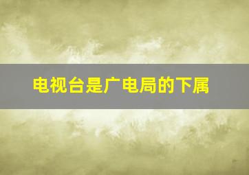 电视台是广电局的下属