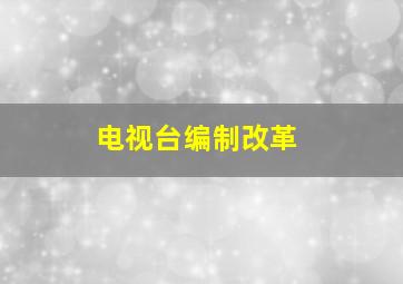 电视台编制改革