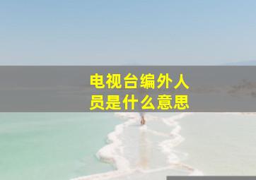 电视台编外人员是什么意思