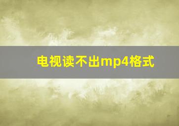 电视读不出mp4格式