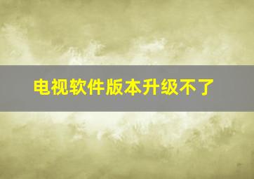 电视软件版本升级不了