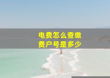 电费怎么查缴费户号是多少