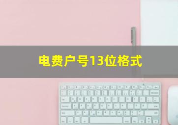 电费户号13位格式