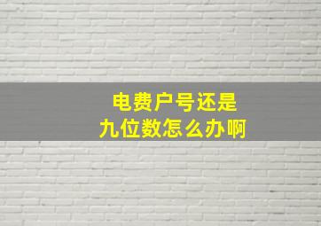 电费户号还是九位数怎么办啊