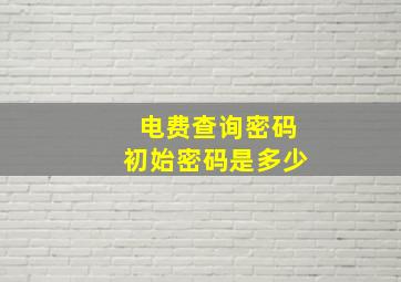 电费查询密码初始密码是多少