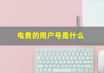 电费的用户号是什么