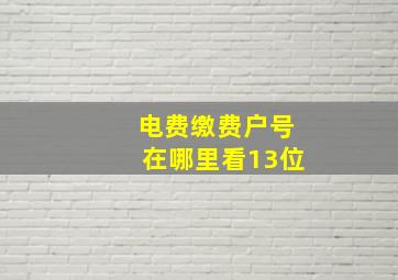 电费缴费户号在哪里看13位