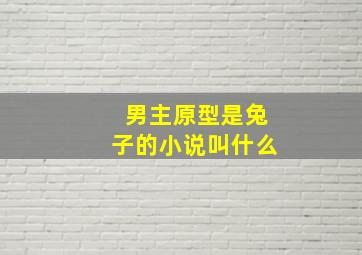 男主原型是兔子的小说叫什么