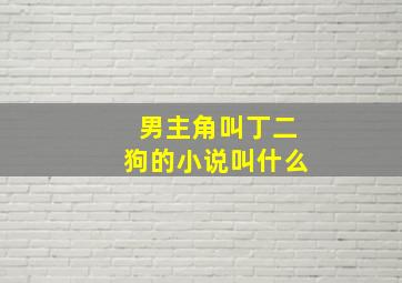 男主角叫丁二狗的小说叫什么