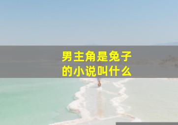 男主角是兔子的小说叫什么