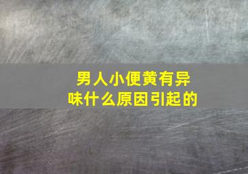 男人小便黄有异味什么原因引起的