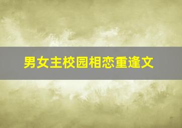 男女主校园相恋重逢文