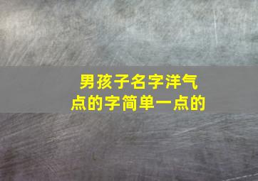 男孩子名字洋气点的字简单一点的