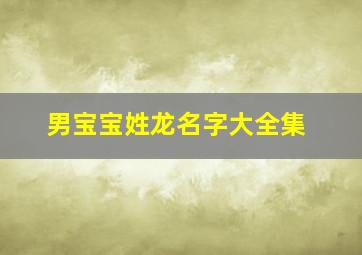 男宝宝姓龙名字大全集