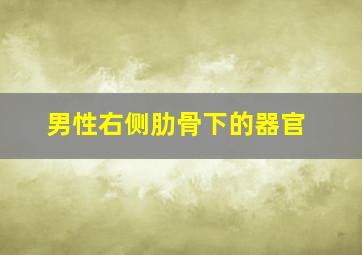 男性右侧肋骨下的器官