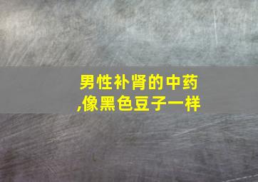 男性补肾的中药,像黑色豆子一样