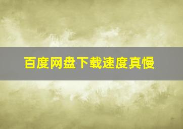 百度网盘下载速度真慢