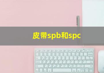 皮带spb和spc