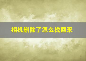 相机删除了怎么找回来