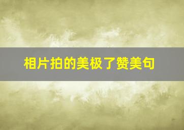 相片拍的美极了赞美句