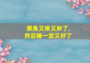 眼角又痒又肿了,然后睡一觉又好了