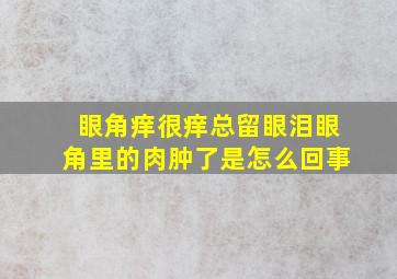 眼角痒很痒总留眼泪眼角里的肉肿了是怎么回事