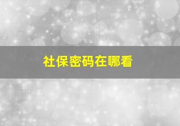 社保密码在哪看