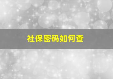 社保密码如何查