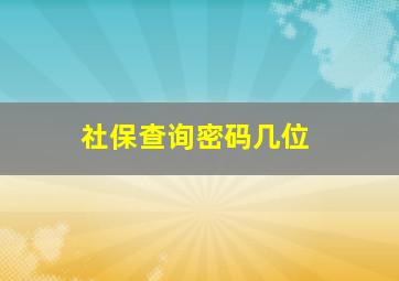 社保查询密码几位