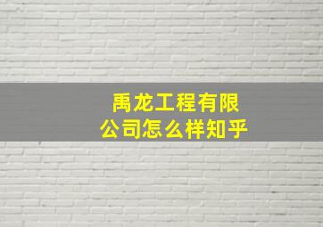 禹龙工程有限公司怎么样知乎