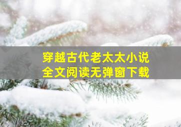 穿越古代老太太小说全文阅读无弹窗下载