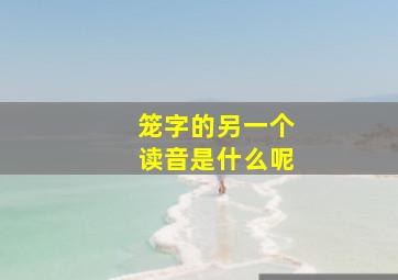 笼字的另一个读音是什么呢