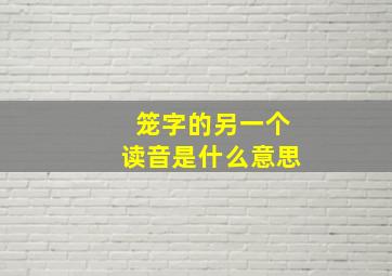 笼字的另一个读音是什么意思