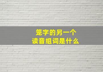 笼字的另一个读音组词是什么