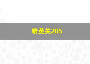 精英关205