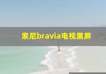 索尼bravia电视黑屏