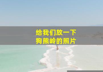 给我们放一下狗熊岭的照片