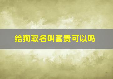 给狗取名叫富贵可以吗