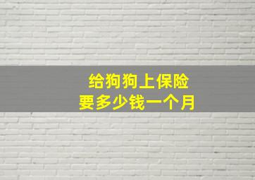 给狗狗上保险要多少钱一个月