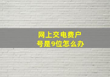 网上交电费户号是9位怎么办