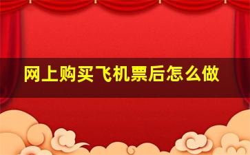 网上购买飞机票后怎么做