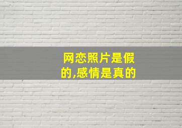 网恋照片是假的,感情是真的