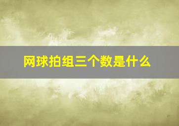 网球拍组三个数是什么