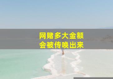 网赌多大金额会被传唤出来