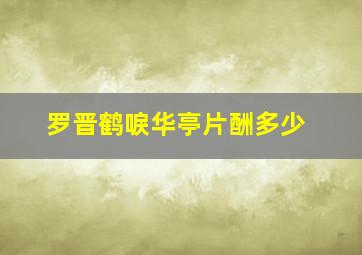 罗晋鹤唳华亭片酬多少