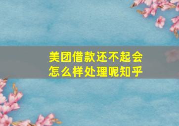 美团借款还不起会怎么样处理呢知乎